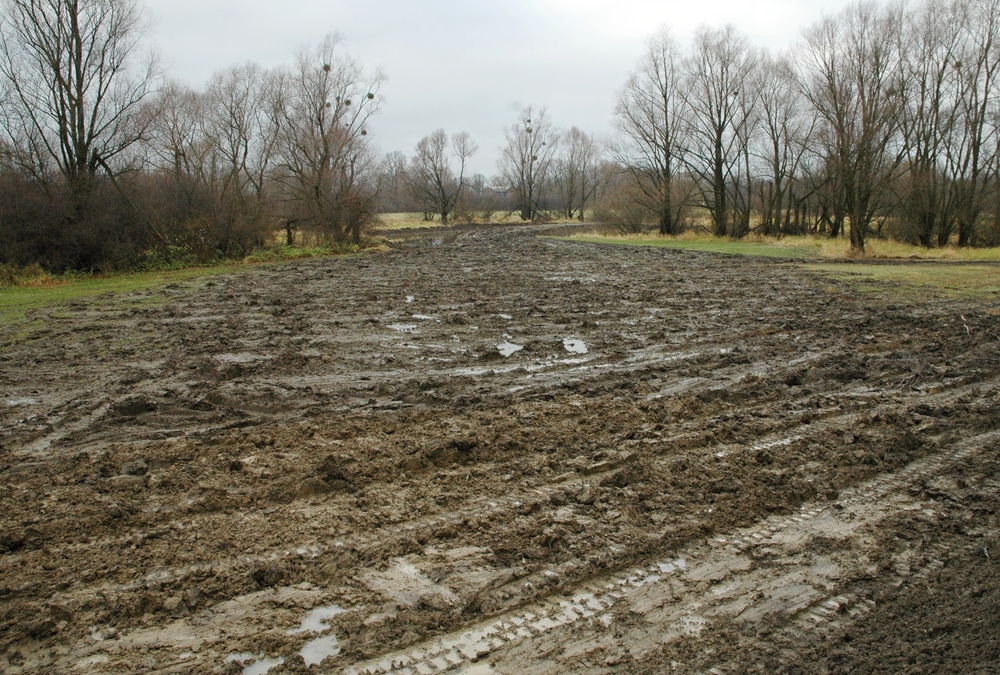 A muddy garden where ground protection hasn’t been used.