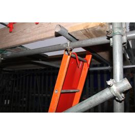 Proguard Lockable Ladder Guard | Protective Products | Beck